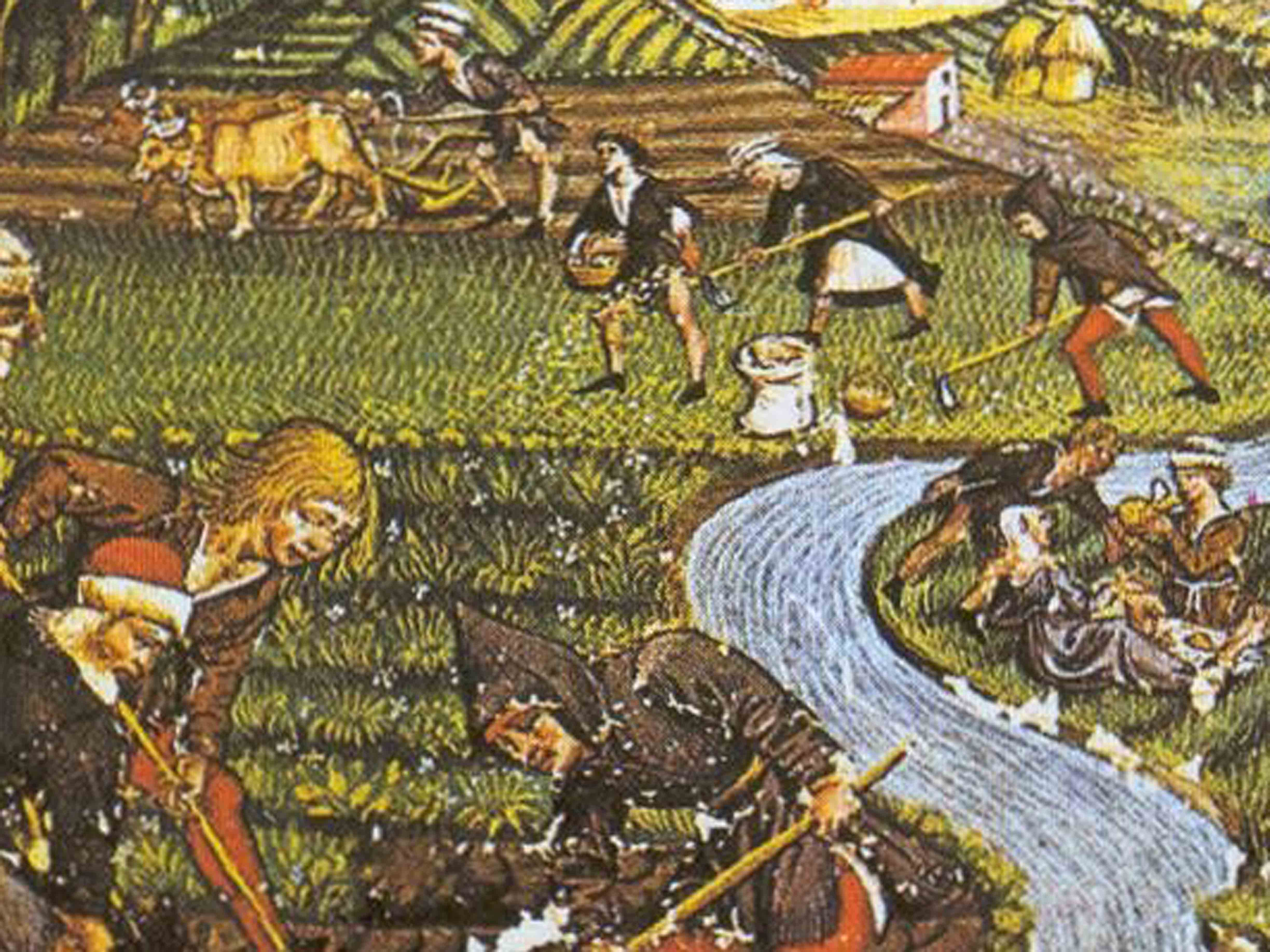 campesinos-cuadrada_0